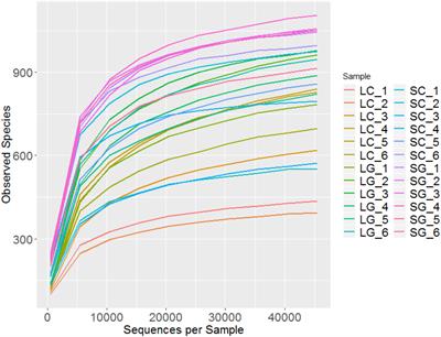 Evaluation of Microbial Communities Associated With the Liquid and Solid Phases of the Rumen of Cattle Offered a Diet of Perennial Ryegrass or White Clover